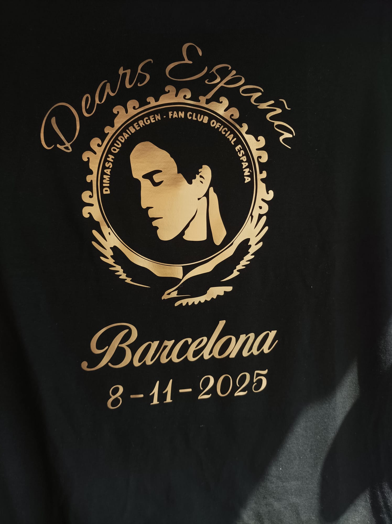 Camiseta especial manga larga