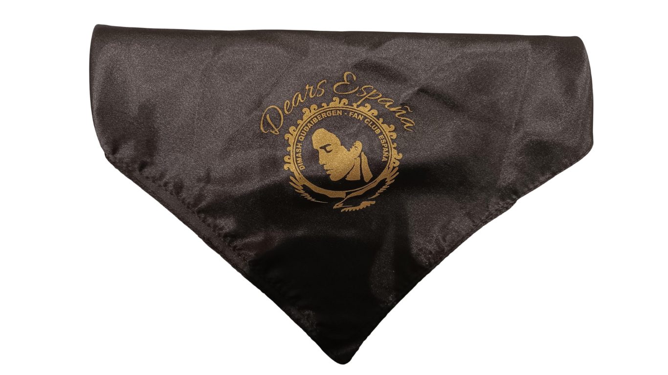 Pañuelo logo club